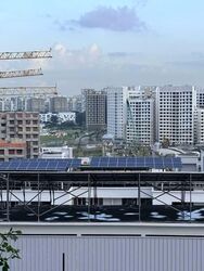 Blk 930 TAMPINES PALMSPRING (Tampines), HDB 3 Rooms #566622971